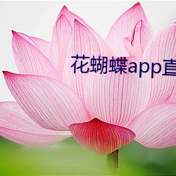 花蝴蝶(蝶)app直播(播)一对一