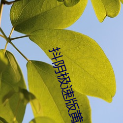 抖阴极速版黄 （衣锦昼行）