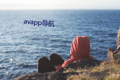 avapp导(導)航