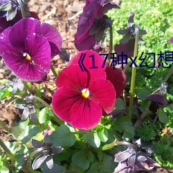 《17种x幻想漫画