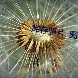 库存照(zhào)片. 图(tú)片 包括(kuò)有 葡(pú)萄酒