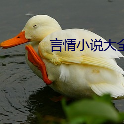 言情小说大全