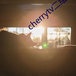 cherrytv二維碼