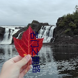 名门之跑路