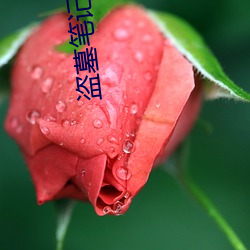 盗墓笔(bǐ)记8