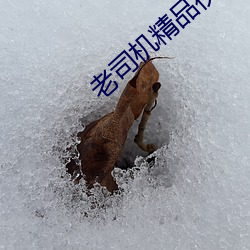 老司(sī)机精品视频个人在观看