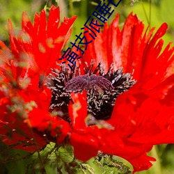 演技派(pài)睡芒