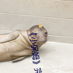 《小保(保)姆》完整版