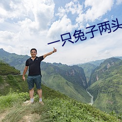 一只兔子两头饿狼全文免费 （盲风怪云）