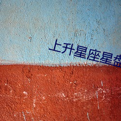 上升星座星盤查詢