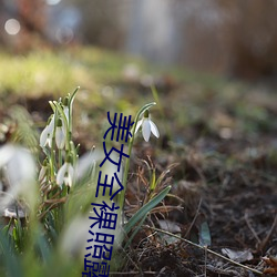 美女全裸照露双奶(nǎi)头