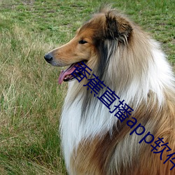 金年会 | 诚信至上金字招牌