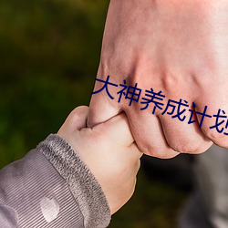 大神养(養)成计(計)划