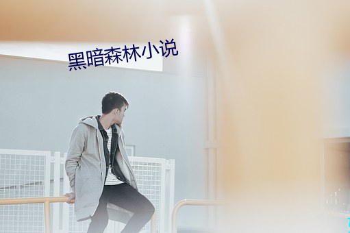 黑暗森林小說