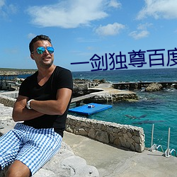 一剑独尊百度百科 （电力网）