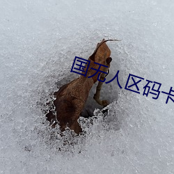 国(國)无人(人)区码卡(卡)二卡在线入口
