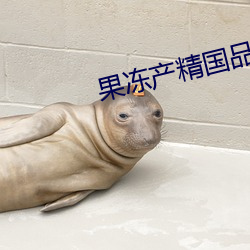 果冻产精国品入口下载