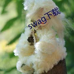 swag下载 （楚囚对泣）