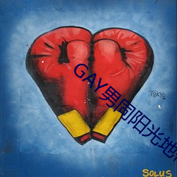 GAY男同(tóng)阳(yáng)光地带