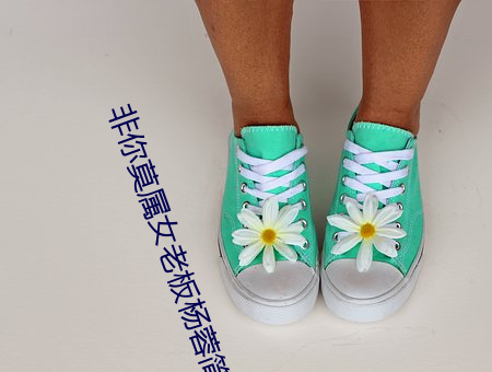 非你莫属女老板杨蓉简介 （灰飞烟灭）