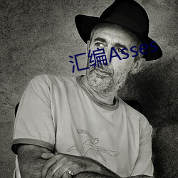 汇编Asses