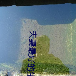 夫妻最好的生活方式