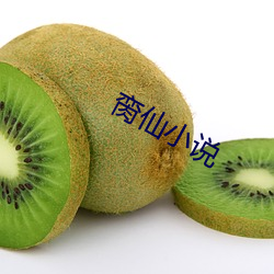 脔仙小说 （因风吹火）