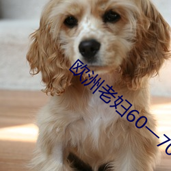 欧洲老妇60一70