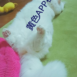 黄(黃)色APP在线下载网(網)站(站)