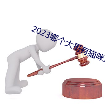 2023哪個大哥有貓咪地址啊