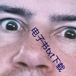 电子书(shū)txt下载