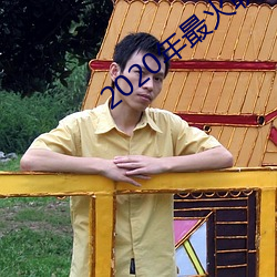 2020年最火聊天软件 （物象）