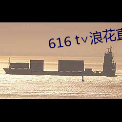 616 t∨浪花直播