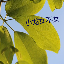 小龙女不(不)女