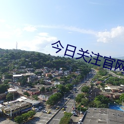 今日关注官网俄乌战争