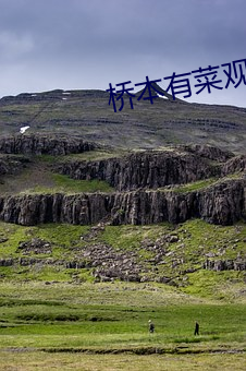 桥本有(yǒu)菜观(guān)看
