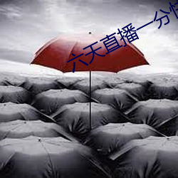 六天直播一分快三
