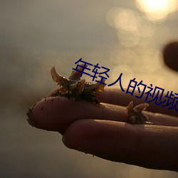 年轻人的视频 （见哭兴悲）