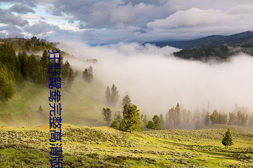 狂(kuáng)野鸳鸯完(wán)整(zhěng)高清版