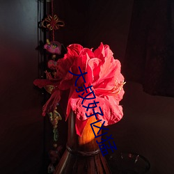 大叔好凶猛