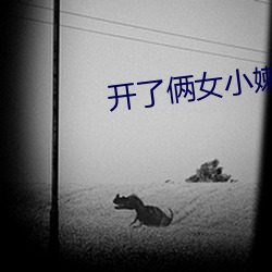 開了倆女小嫩苞小說