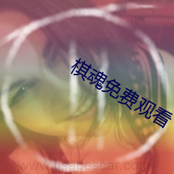 棋魂免(miǎn)费观看