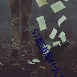 57频(頻)道(道)是什(什)么卫(衛)视(視)