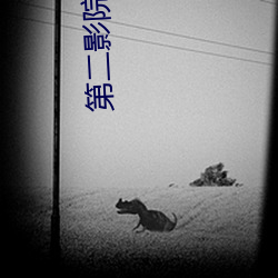 第(第)二(二)影院(院)