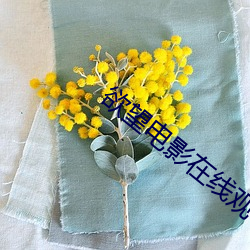 &#x590F;&#23043;&#x5927;&#32483;&#x76F4;&#25773;app&#19979;&#x8F7D;_&#x7CBE;&#19996;&#x9EC4;&#26495;&#x4E0B;&#36733;