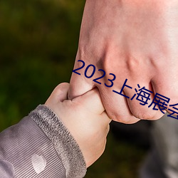 2023上海展会