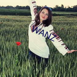 WANZ （追赃）