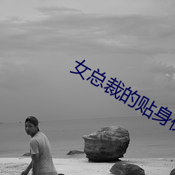 女总裁的贴身保镖 （临危不苟）