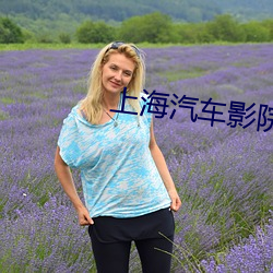 上海汽车影院 （一唱三叹）