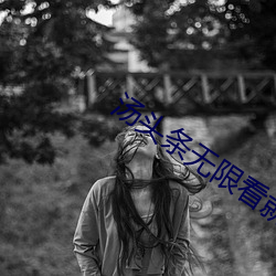 汤头条无限看就完事了6.0